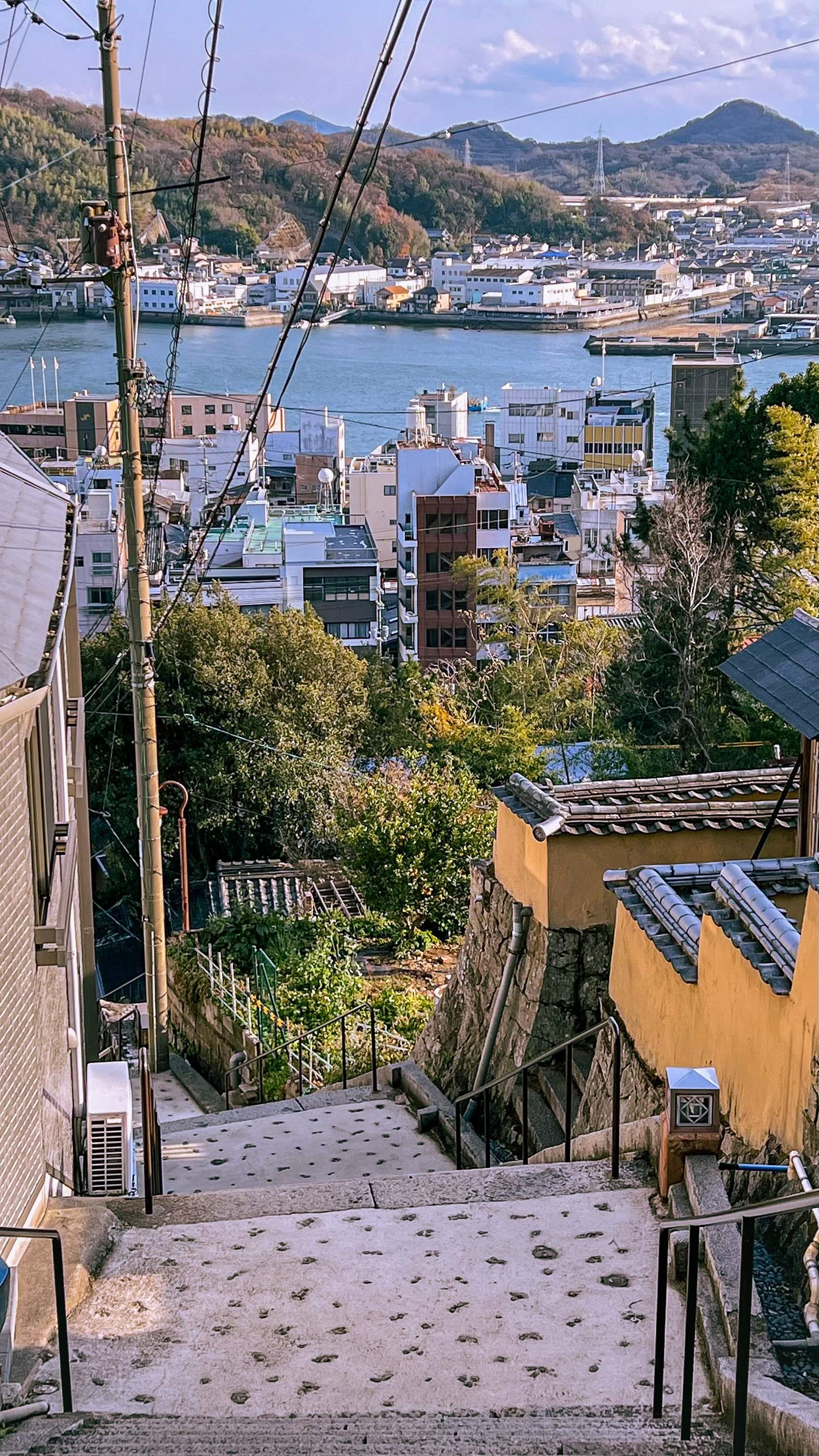 🐠 후쿠야마 대학 마린바이오센터 수족관 이미지 9